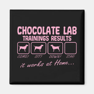 Chocolate Labrador Retriever Hund Lab Mamma Funy Magnet
