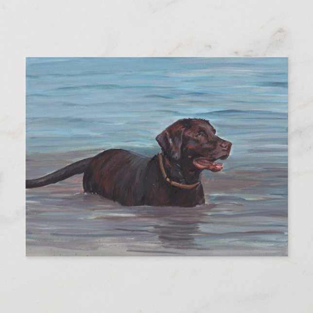 Chocolate Labrador Retriever i Vatten Note Card Vykort (Framsida)