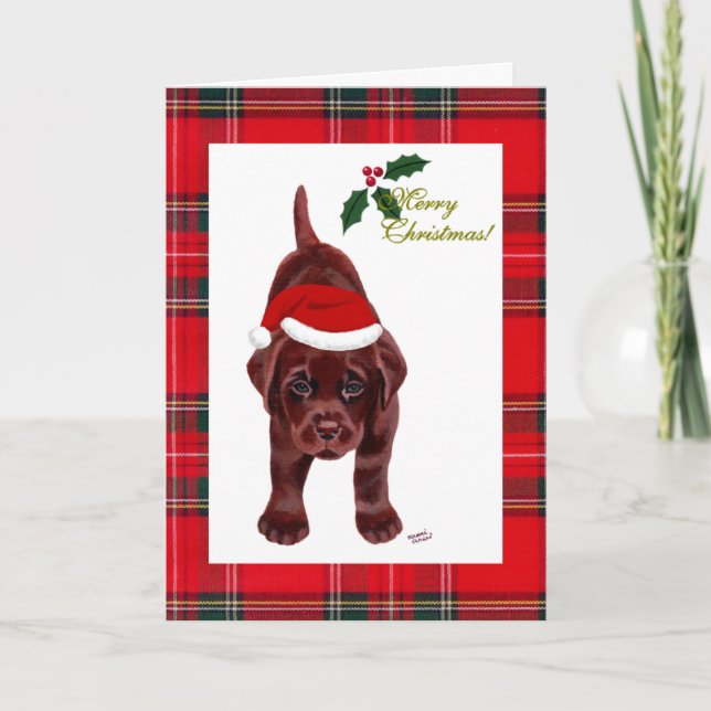 Chocolate Labrador Retriever-julkort Helgkort (Framsida)