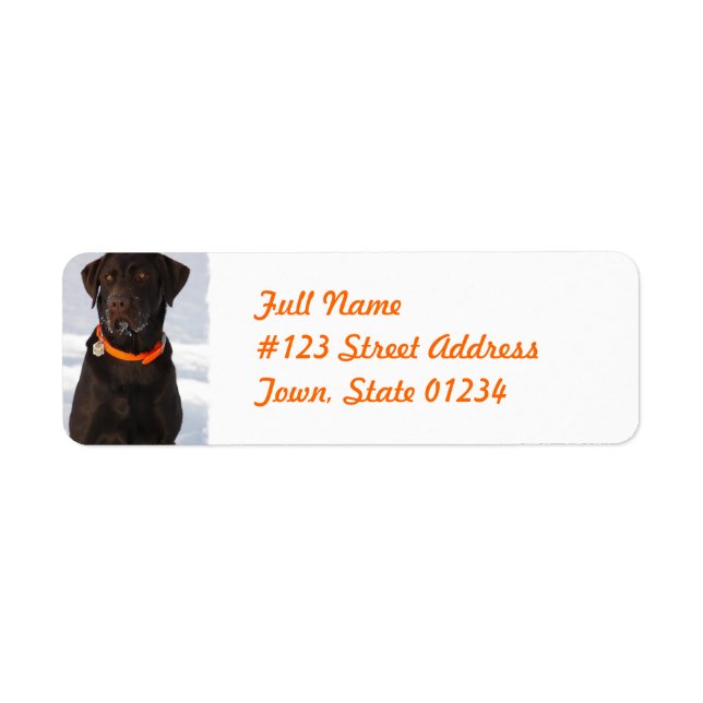 Chocolate Labrador Retriever-mejseletikett Returadress Etikett (Framsidan)