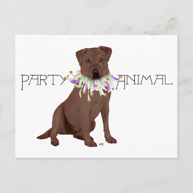 Chocolate Labrador Retriever Party Vykort (Framsida)