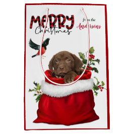 Chocolate Labrador Retriever Puppy Hund jul