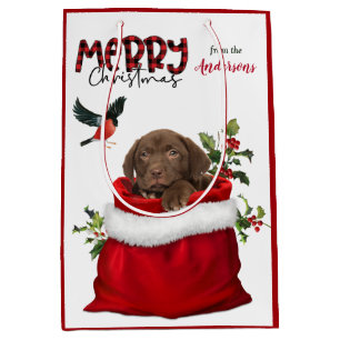 Chocolate Labrador Retriever Puppy Hund jul