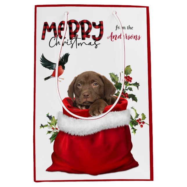 Chocolate Labrador Retriever Puppy Hund jul (Framsidan)