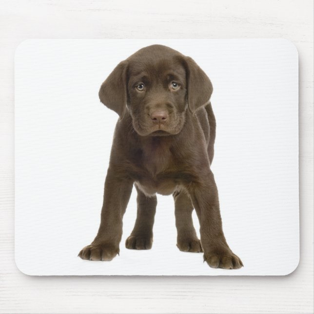 Chocolate Labrador Retriever Puppy Hund Mousepad Musmatta (Framsidan)