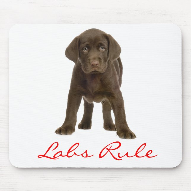Chocolate Labrador Retriever Puppy Hund Mousepad Musmatta (Framsidan)