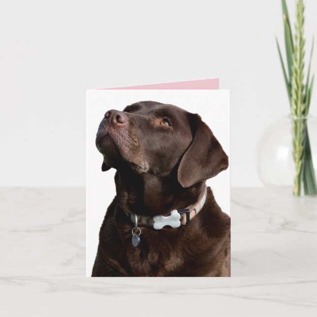 Chocolate Labrador Retriever Puppy Hund Note Card Kort (Framsida)