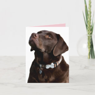 Chocolate Labrador Retriever Puppy Hund Note Card Kort