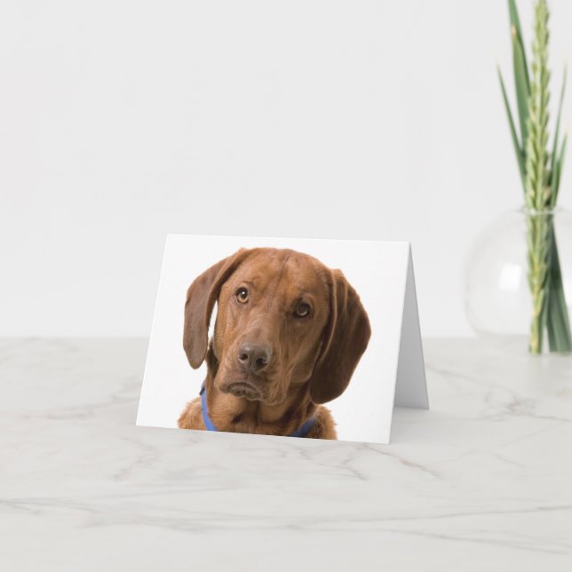 Chocolate Labrador Retriever Puppy Hund Note Card Kort (Framsida)