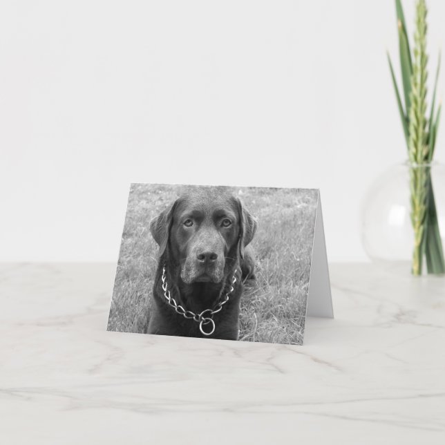 Chocolate Labrador Retriever Puppy Hund Note Card Kort (Framsida)