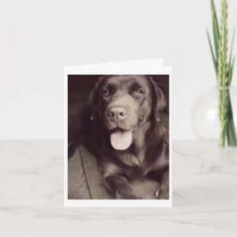 Chocolate Labrador Retriever Puppy Hund Note Card Kort