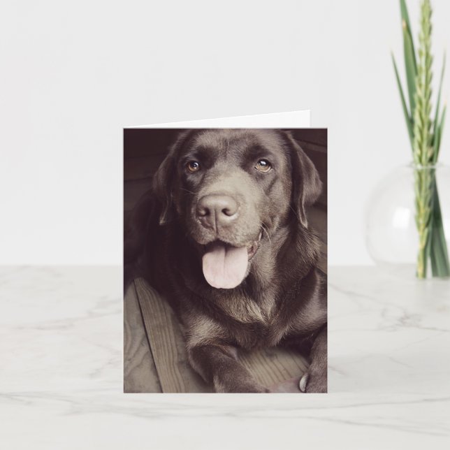Chocolate Labrador Retriever Puppy Hund Note Card Kort (Framsida)