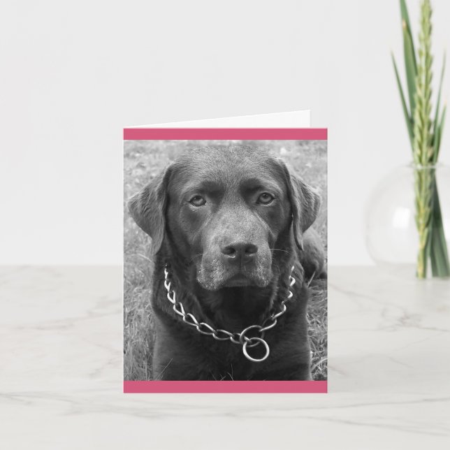 Chocolate Labrador Retriever Puppy Hund Note Card Kort (Framsida)