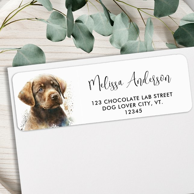 Chocolate Labrador Retriever Returadress Hund Returadress Etikett (Skapare uppladdad)