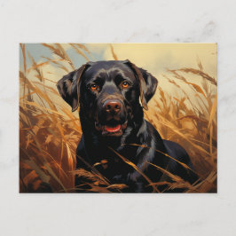 Chocolate Labrador Retriever Vykort