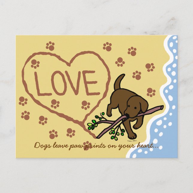 Chocolate Labrador Sand Brev Tecknad Vykort (Framsida)