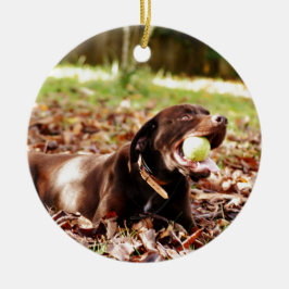 Chocolate Labrador som spelas med Boll Julgransprydnad Keramik