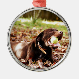 Chocolate Labrador som spelas med Boll Julgransprydnad Metall
