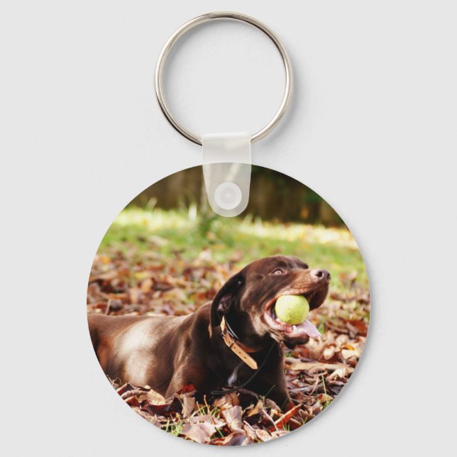 Chocolate Labrador som spelas med Boll Nyckelring (Framsida)