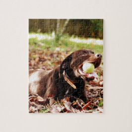 Chocolate Labrador som spelas med Boll Pussel