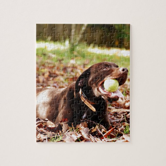 Chocolate Labrador som spelas med Boll Pussel (Vertikal)