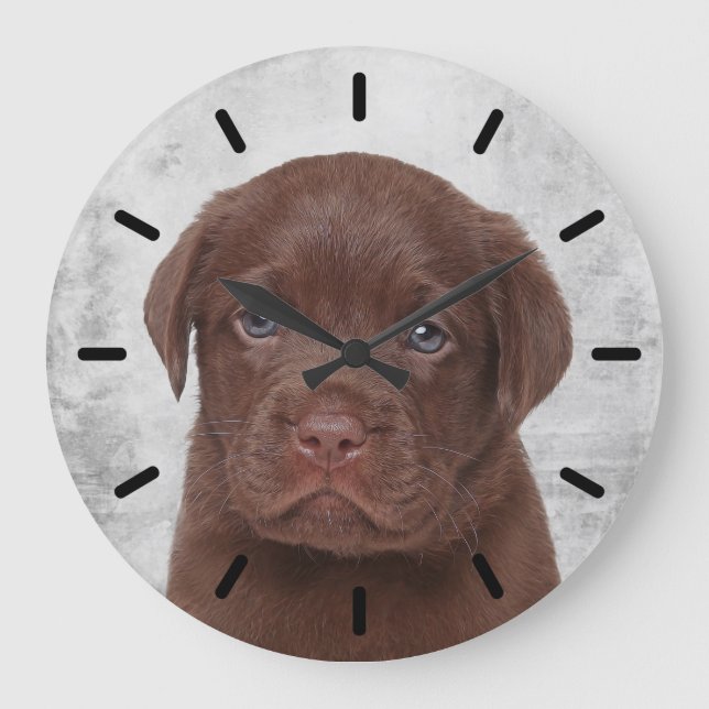 Chocolate Labrador Stor Klocka (Framsida)