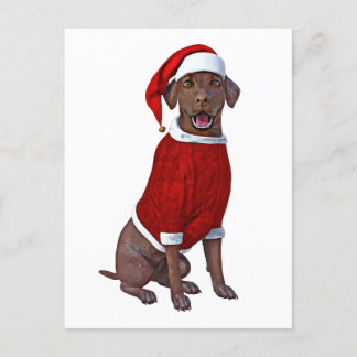 Chocolate Labrador Tid för jul Vykort