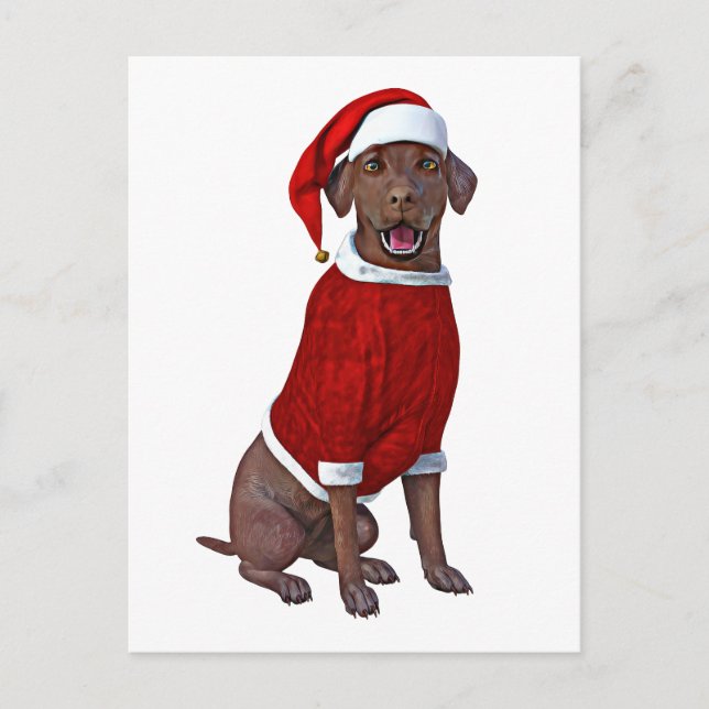 Chocolate Labrador Tid för jul Vykort (Framsida)