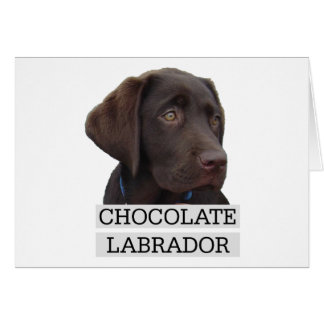 Chocolate Labrador Unik design! Hälsningskort