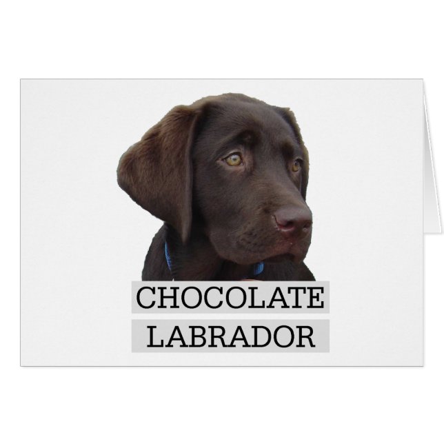Chocolate Labrador Unik design! Hälsningskort (Framsidan Horizontal)