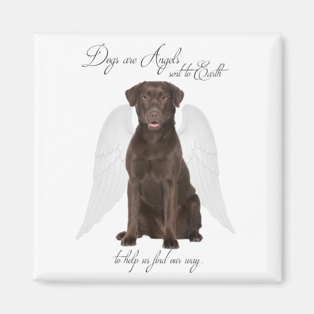 Chocolate Labs är Änglar Magnet (Framsidan)