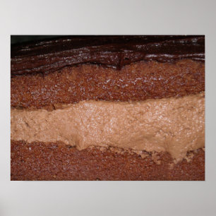 Chocolate Lagrar Cake Photo Poster