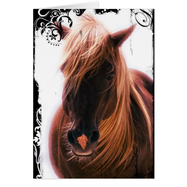 Chocolate Palomino Horse Hälsningskort (Framsidan)