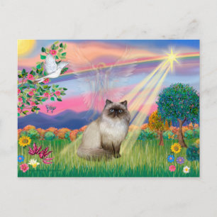Chocolate Point Himalayan Cat - Cloud Angel Vykort
