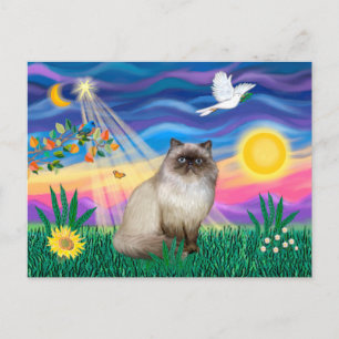 Chocolate Point Himalayan Cat - Twilight Vykort