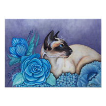 Chocolate Point Siamese