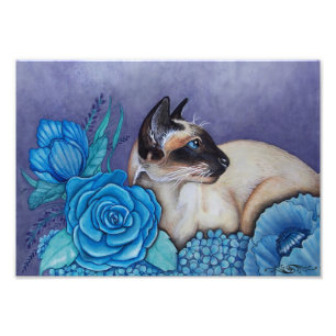 Chocolate Point Siamese Fototryck