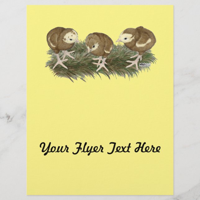 Chocolate Poults Turkiet Reklamblad (Framsidan)