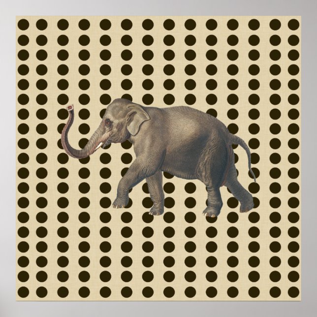 Chocolate Spice Moods Dots with Elephant Poster (Framsidan)