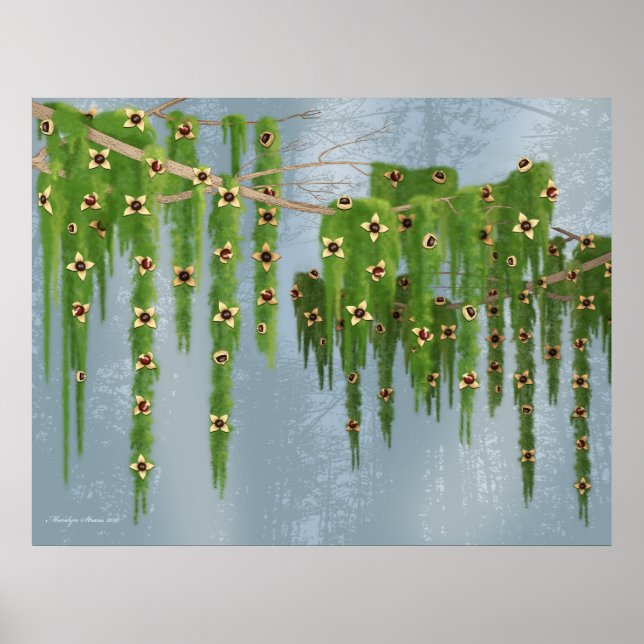 Chocolate Truffle Fantasy Träd Poster (Framsidan)