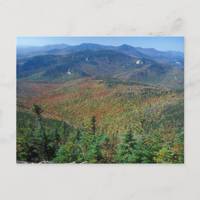 Chocorua foliage view White Mountains Vykort (Framsida)