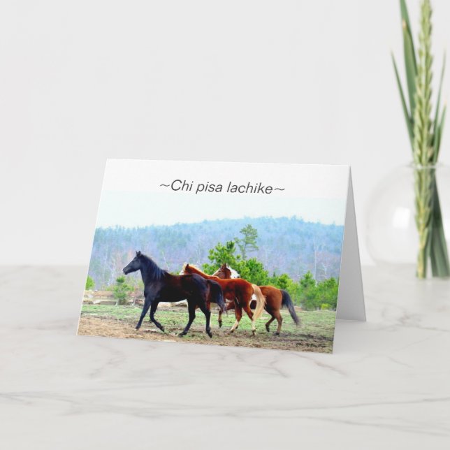 Choctawhälsningkort (Chipisa lachike) Kort (Framsida)