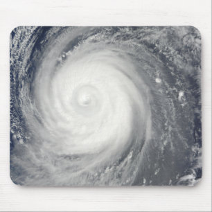 Choi-glåmiga söder för Typhoon av Japan, Stilla Musmatta