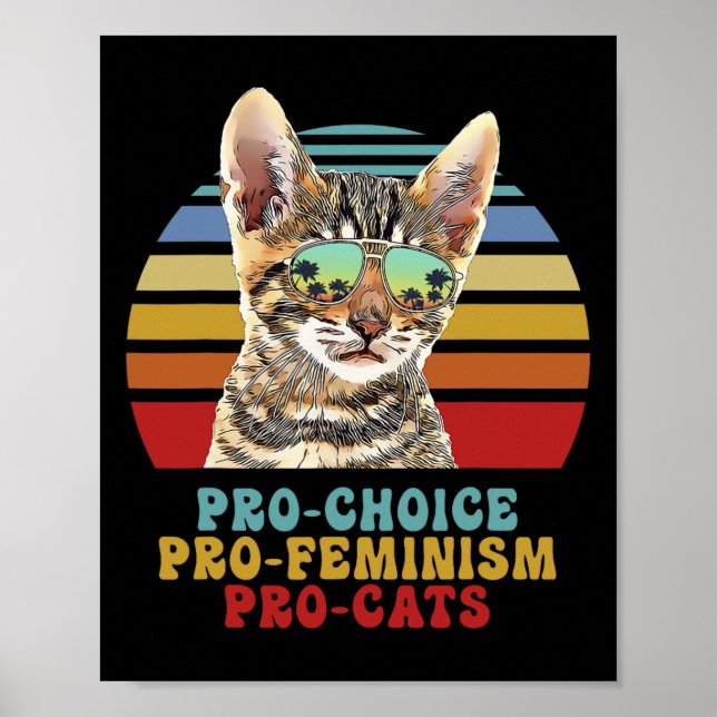 Choice Pro Feminism Pro Katt Kvinnors Höger Femini Poster (Framsidan)