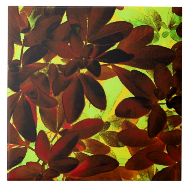 Choisya Autumn 2 keramisk panel Kakelplatta (Framsidan)
