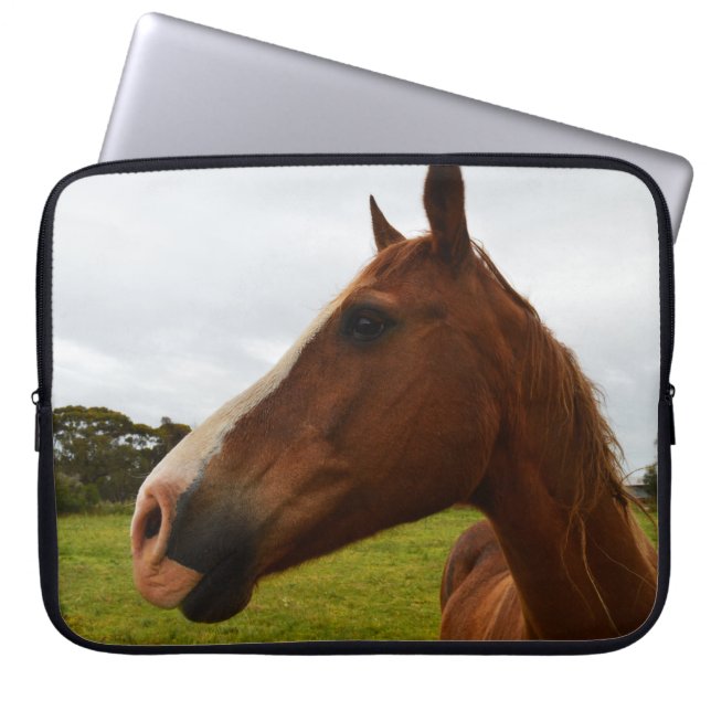 Choklad av kastanjepumpa, laptop sleeve (Framsidan)