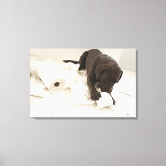 Choklad brun labrador. canvastryck
