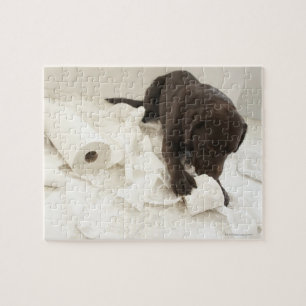 Choklad brun labrador. pussel