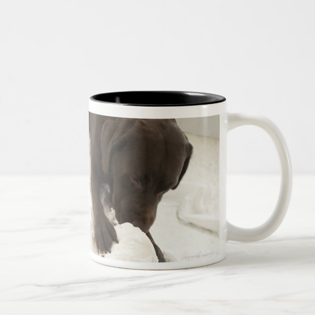 Choklad - bruna labrador. Två-Tonad mugg (Höger)