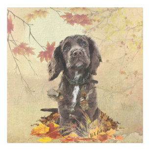 Choklad cocker spaniel valp fototryck